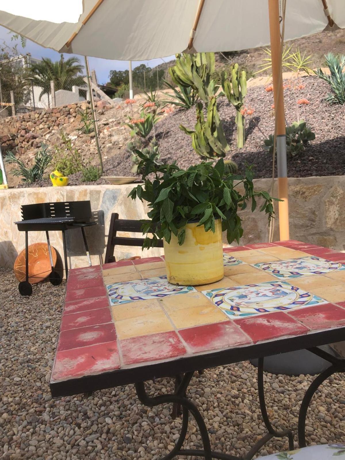 Casa Tartaruga Βίλα El Pozo de los Frailes Εξωτερικό φωτογραφία